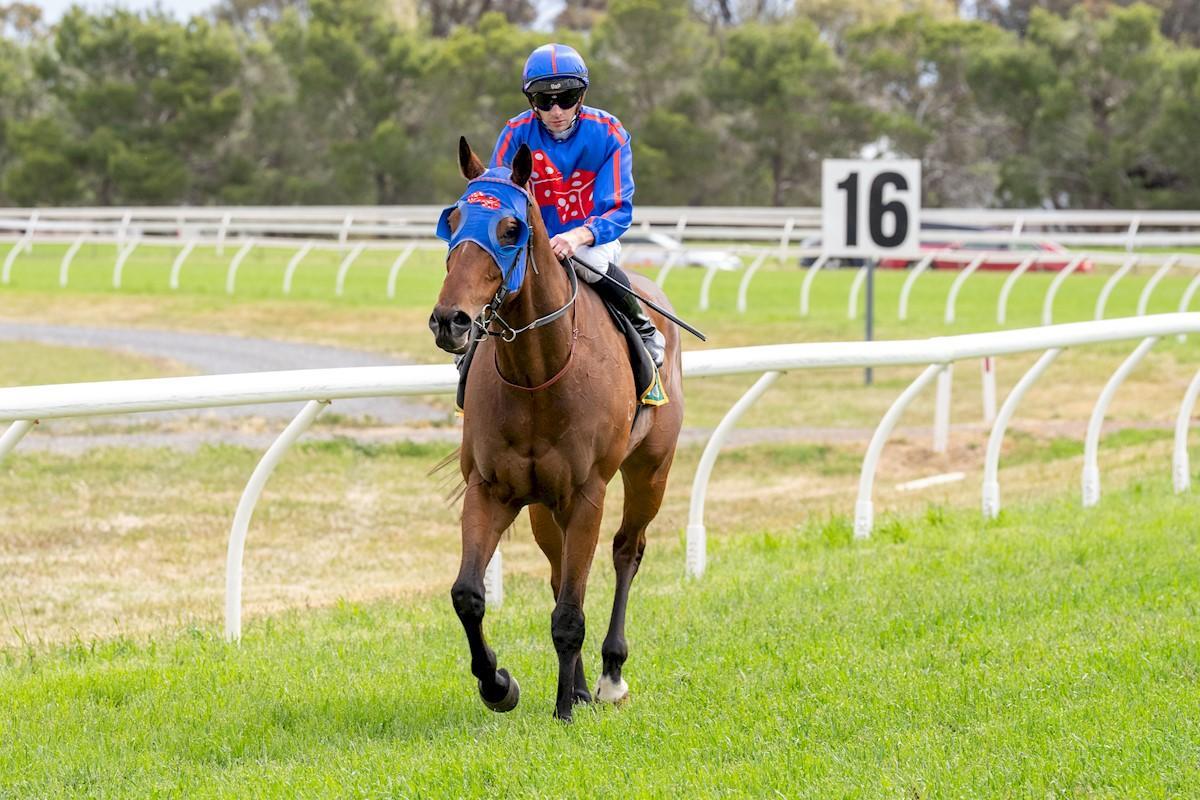 Racing Preview - 11/01/26