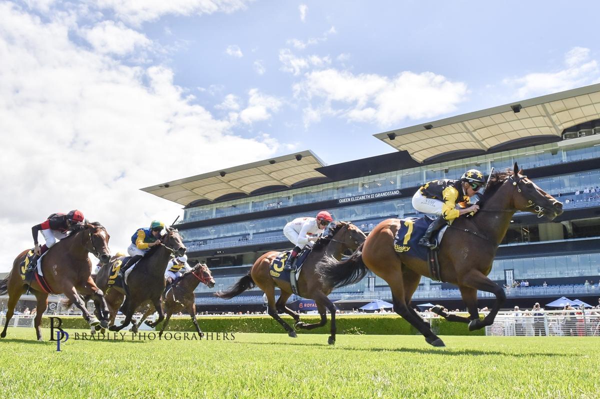 Picture of the author