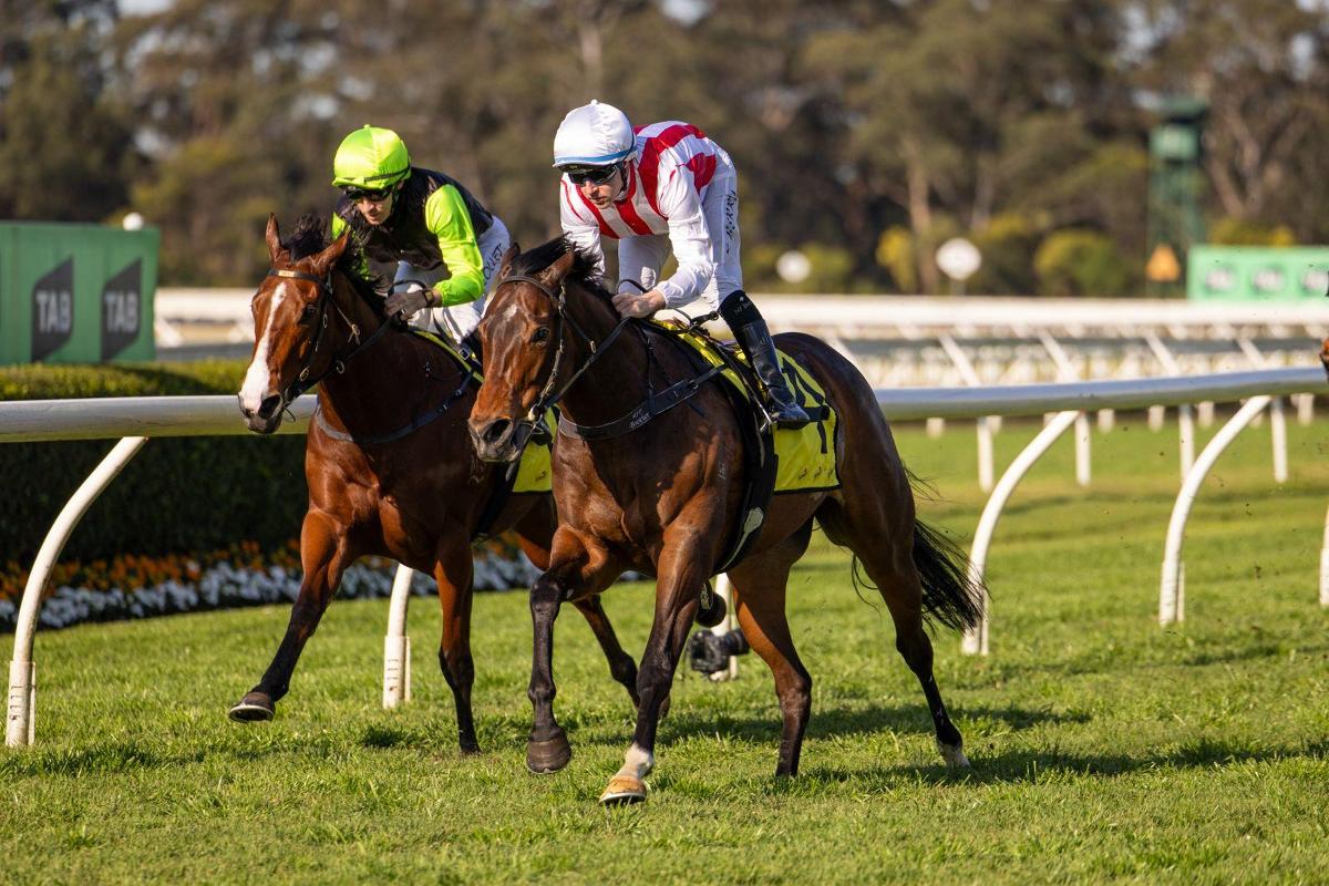 G3 Tibbie Next for Tuileries