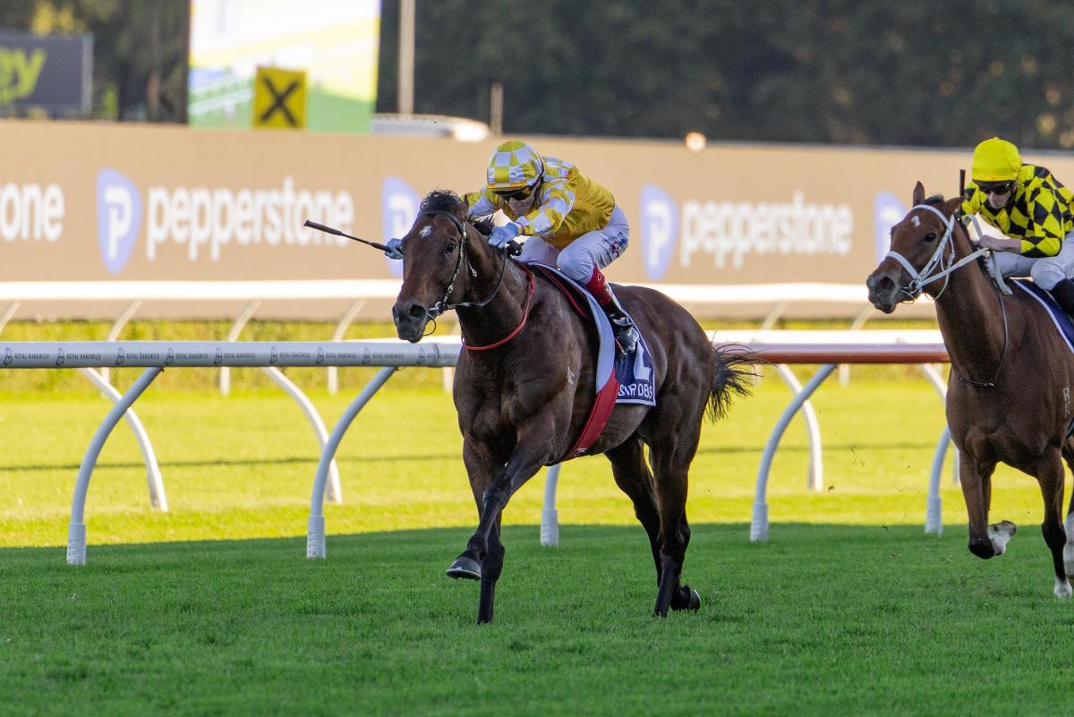 THE QUEEN ELIZABETH by John Sullivan