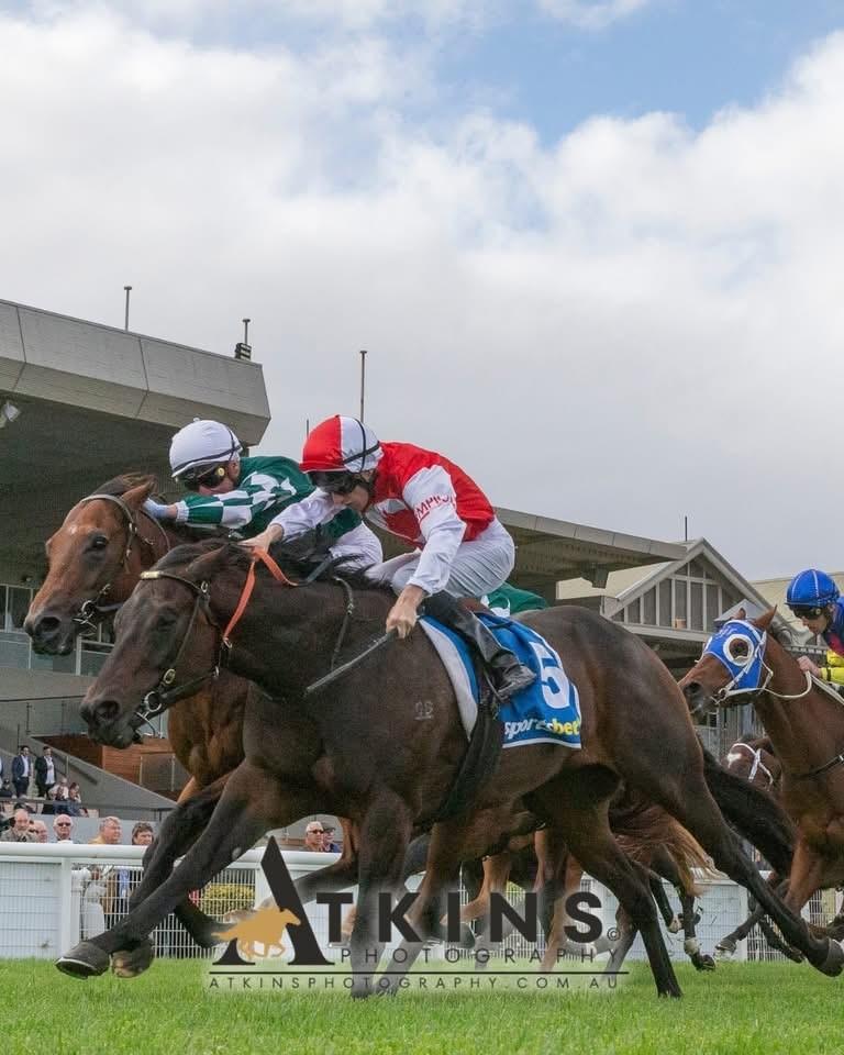 Regeneration Explodes Late to Snare Redelva