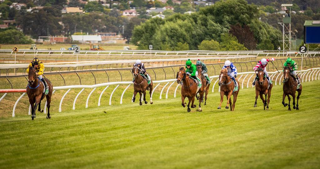 Picture of the author