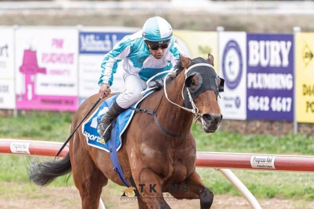 Pirate Crowned Port Augusta Horse Of The Year For 2025
