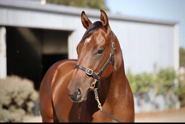 Astern / Fleur Fatale