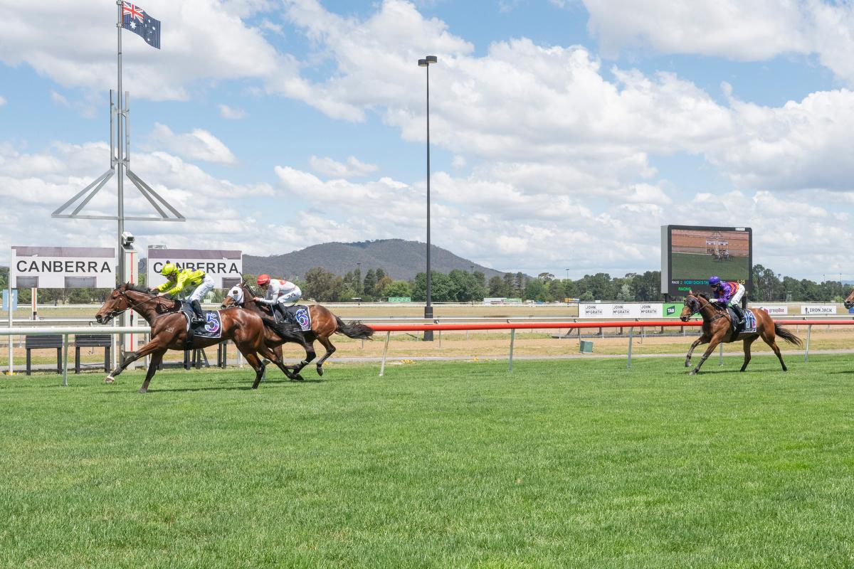 Picture of the author