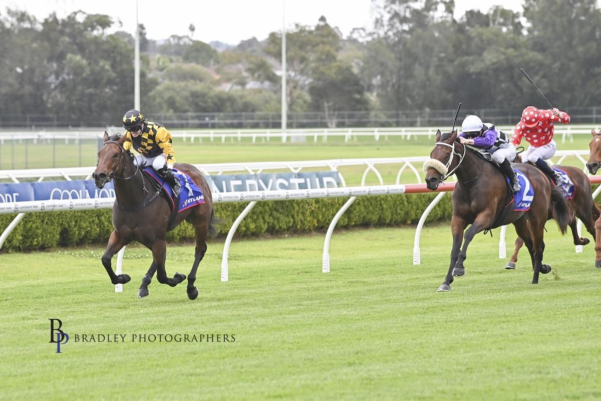 Picture of the author