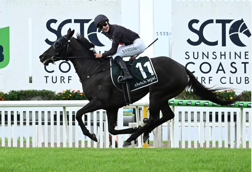 ELETTRICA SCORES DOMINANT VICTORY IN LISTED SUNSHINE COAST CUP !