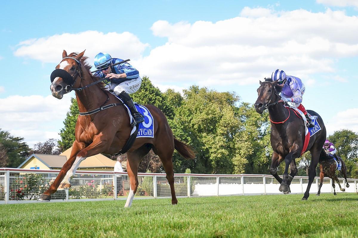 Racing Preview - 18/02/26