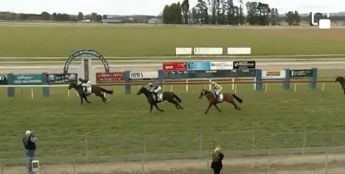 The Halo scores superb maiden victory !