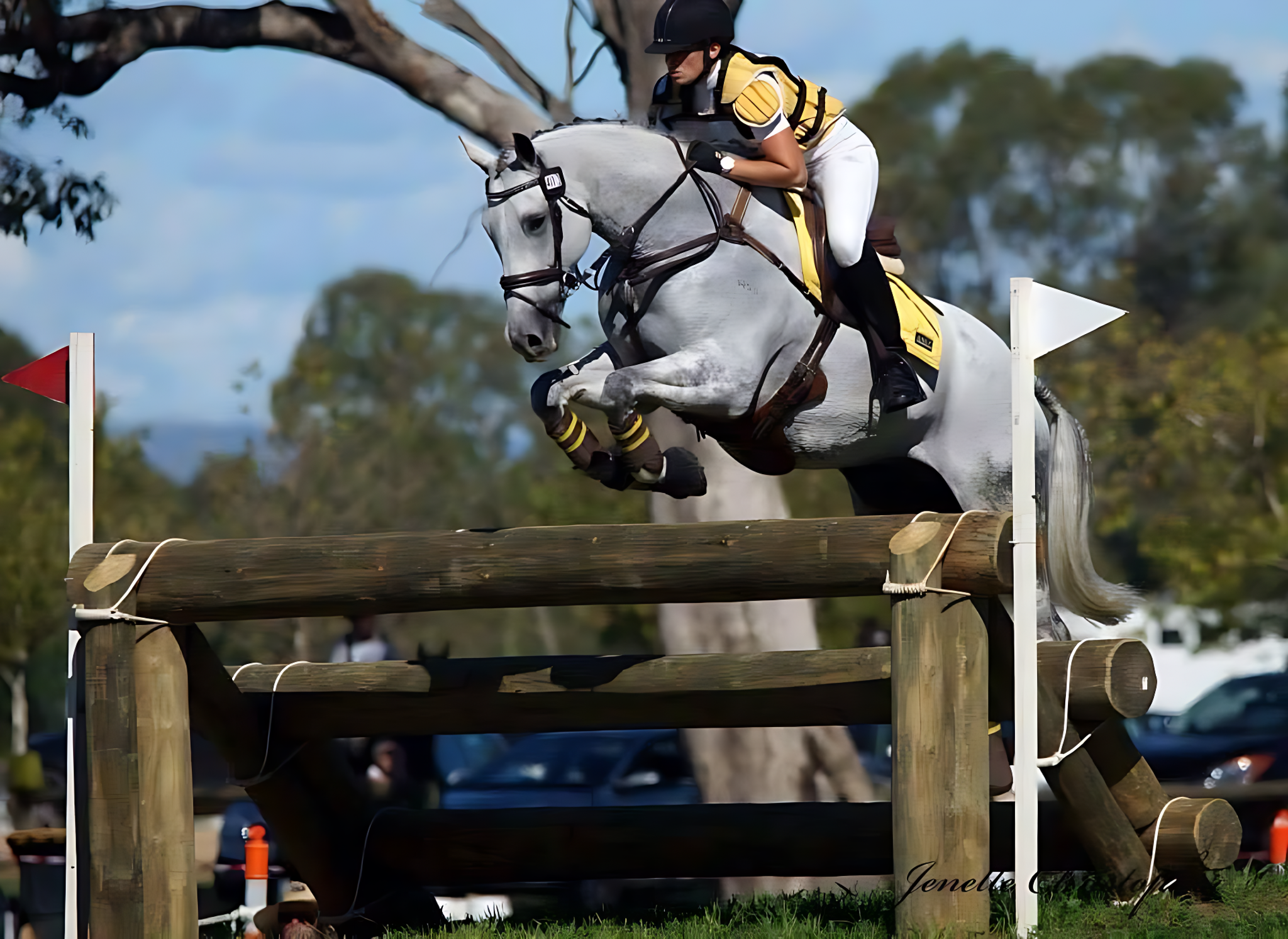 Image - Introduction