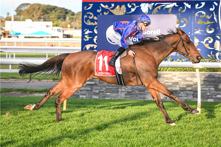 Racing Preview - 04/01/25