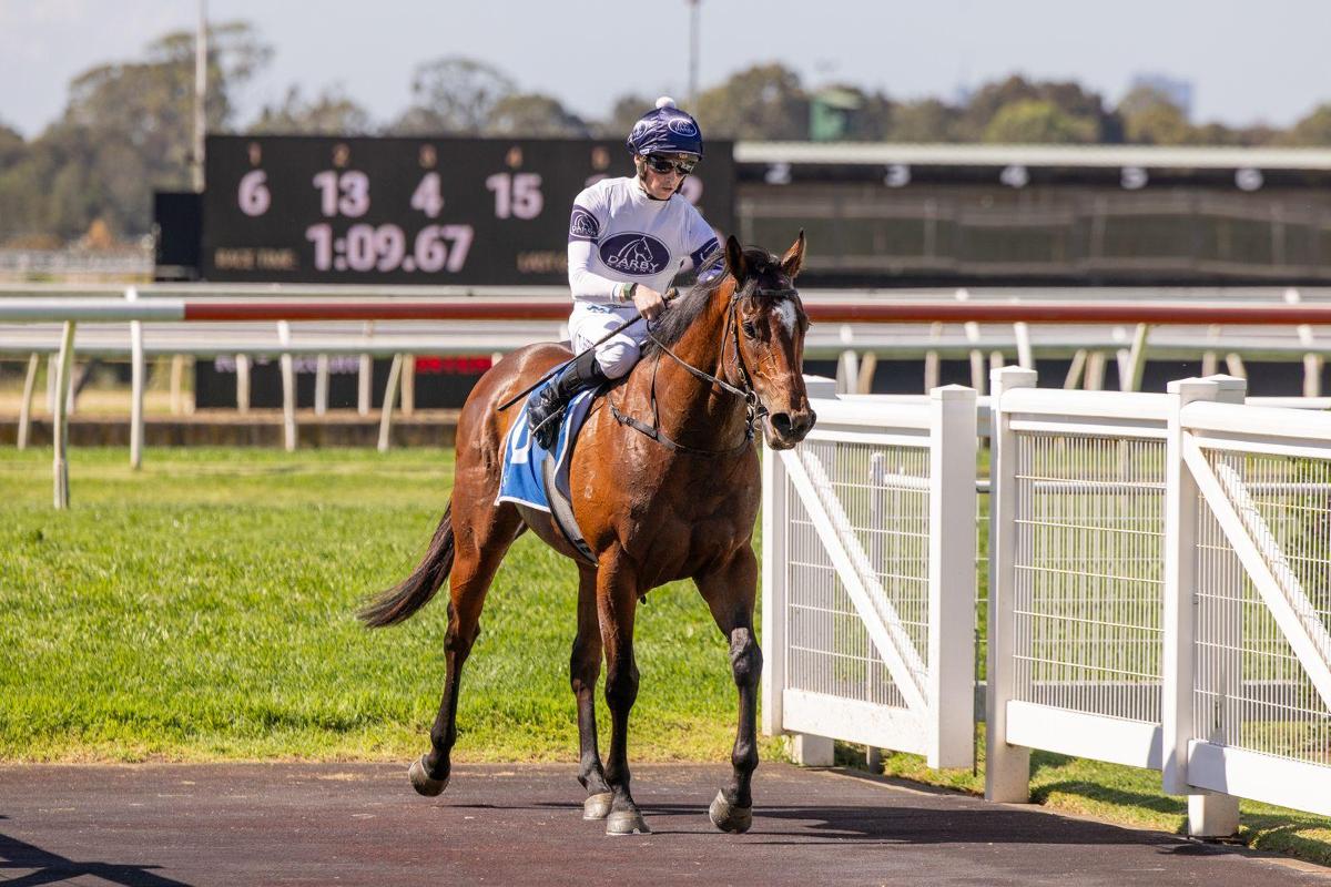 Nitro - One To Watch