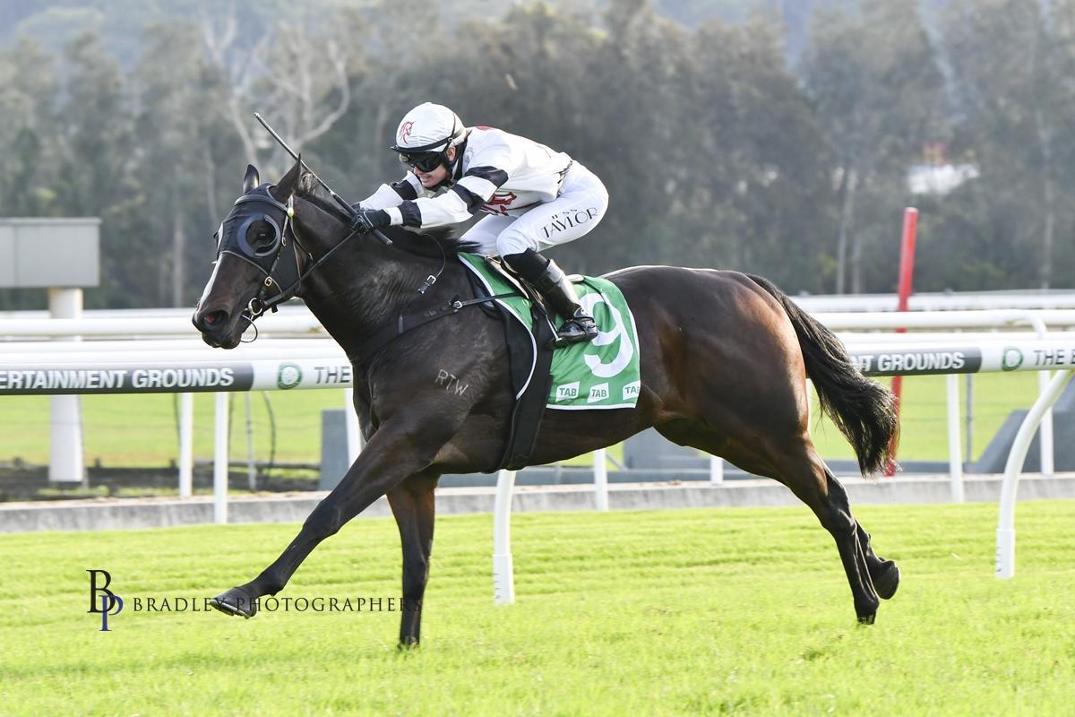 Picture of the author