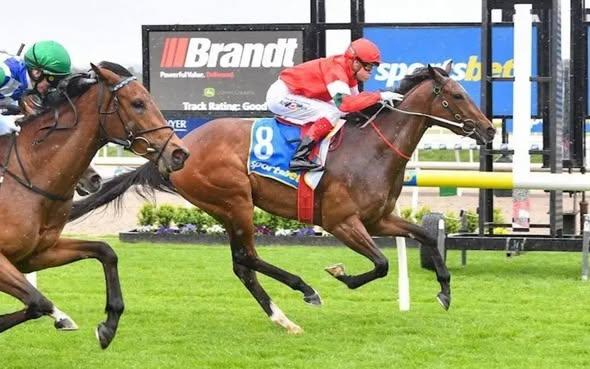 Racing Preview - 26/10/25
