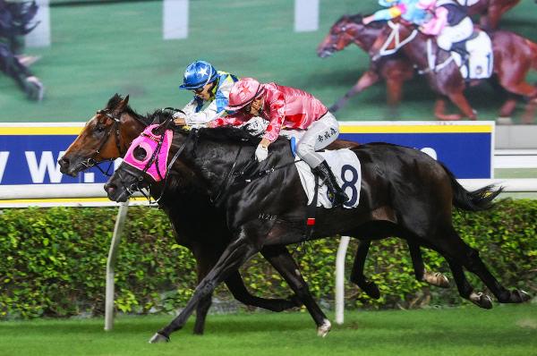 Hong Kong Stakes-Winner for Wandjina