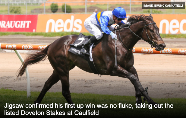 Jigsaw Putting The Pieces Together