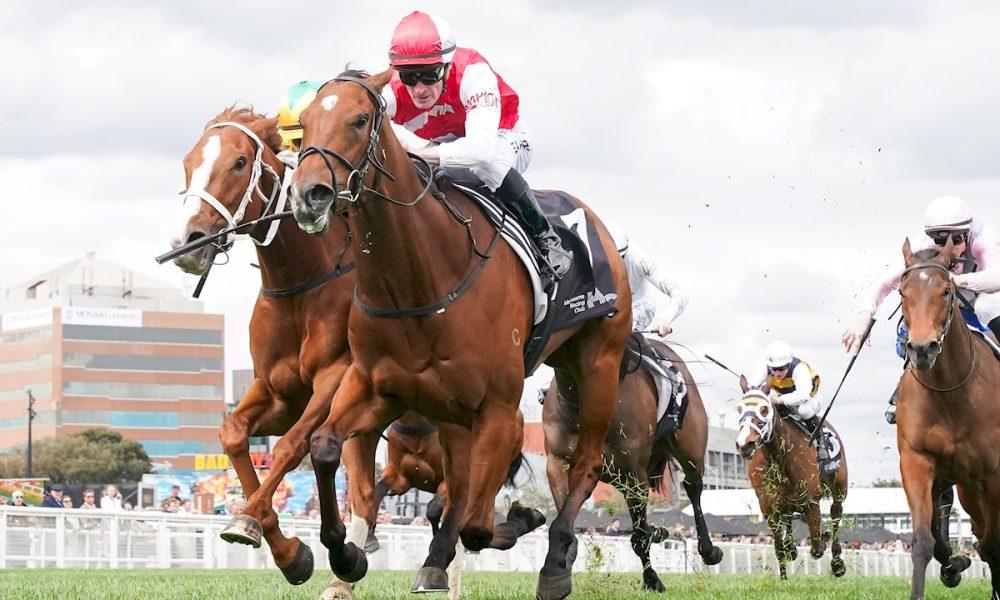 Stakes Win For Talented Filly Lilac