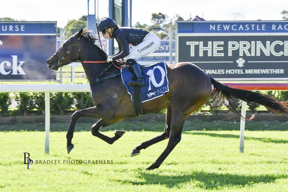 OUR EXCITING FILLY WITH BJORN BAKER BOLTS IN FOR VICTORY AT ONLY HER 2ND START !