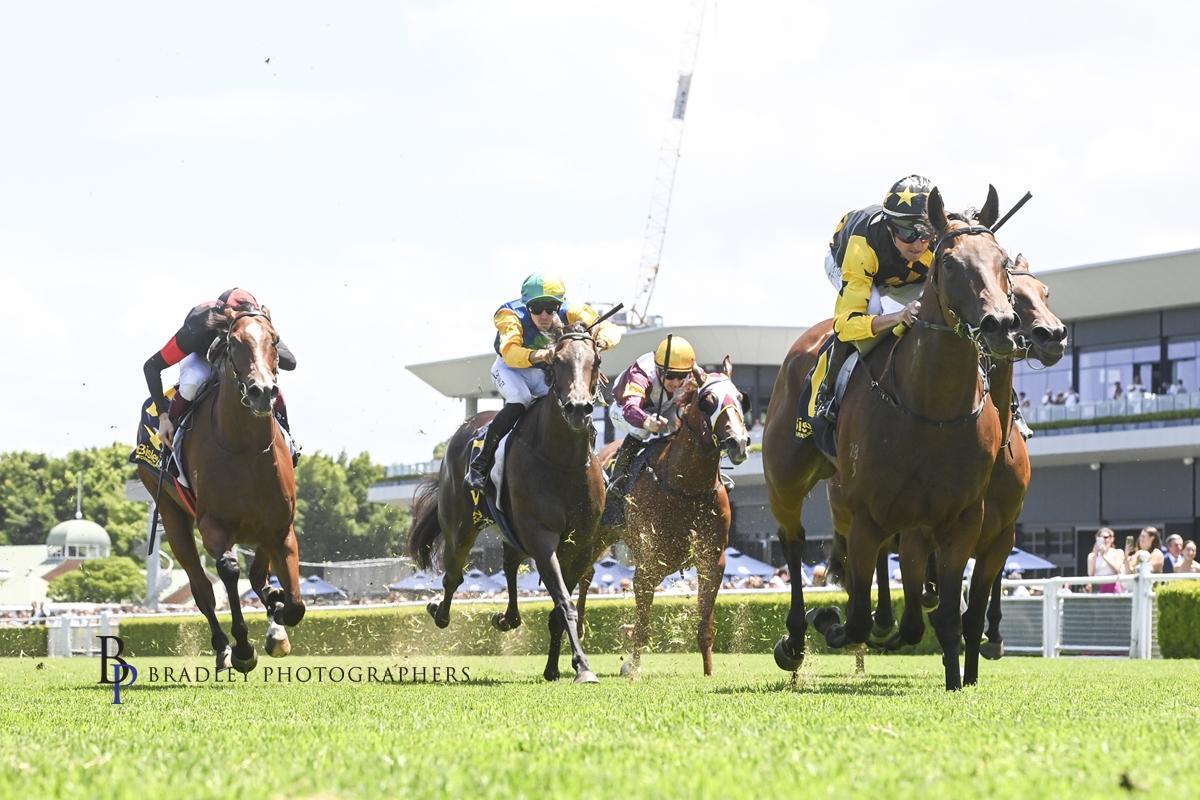 Picture of the author