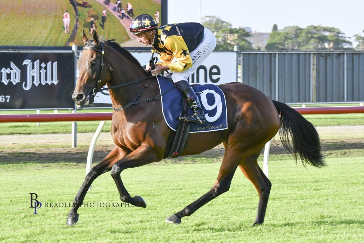 Picture of the author