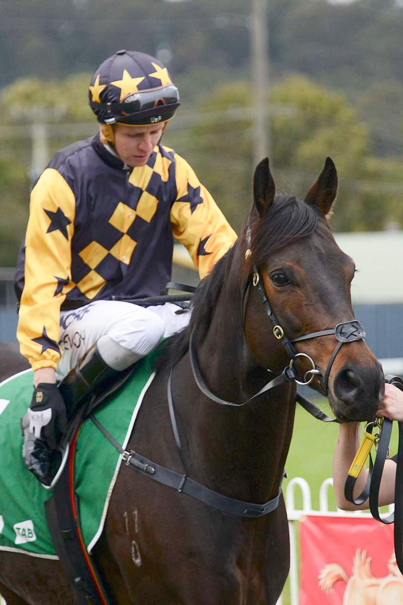 Picture of the author