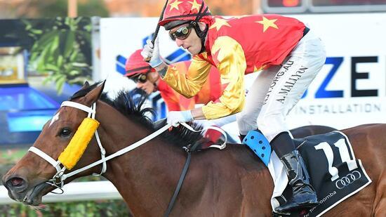 Jadentom fulfils Hatch's Westwood dream