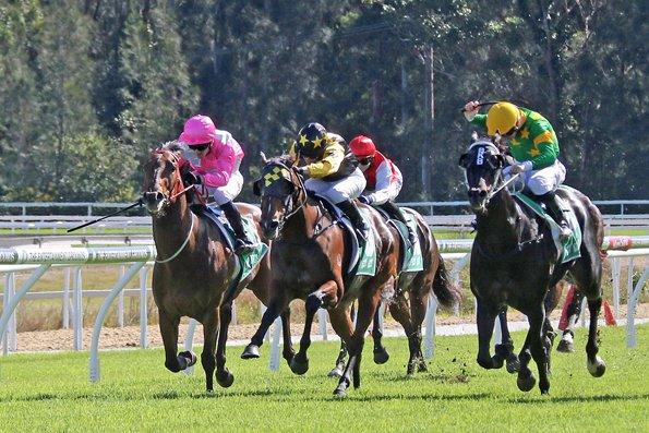 Picture of the author