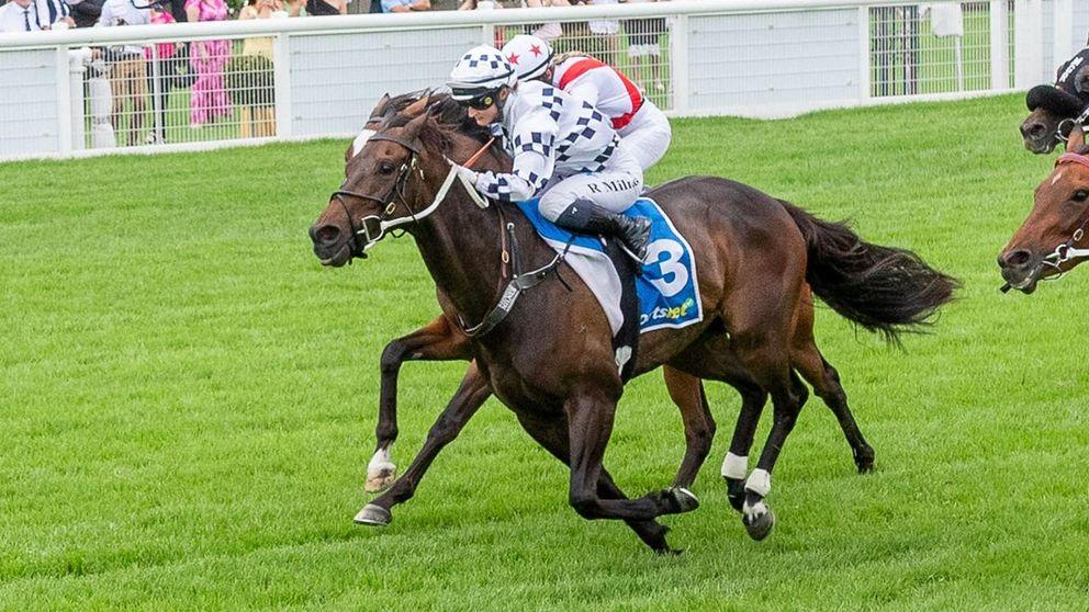 Tough galloper claims first stakes win at 46th start