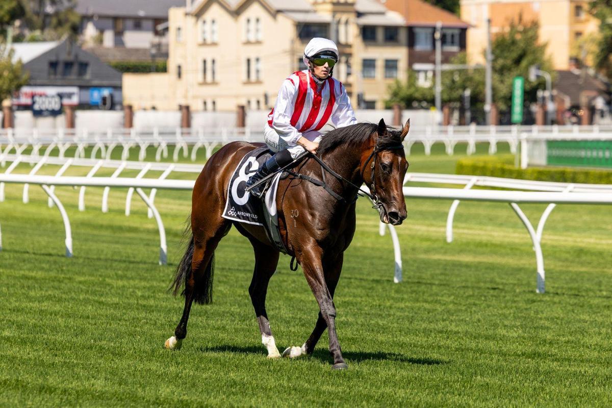 So You Think Mare Tuileries Wins G3 Newcastle Stakes