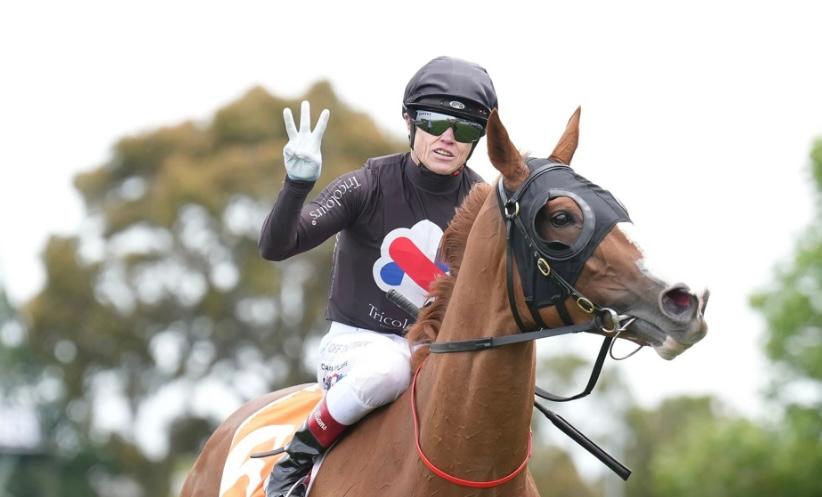Gin Martini wins the Sandown Cup !