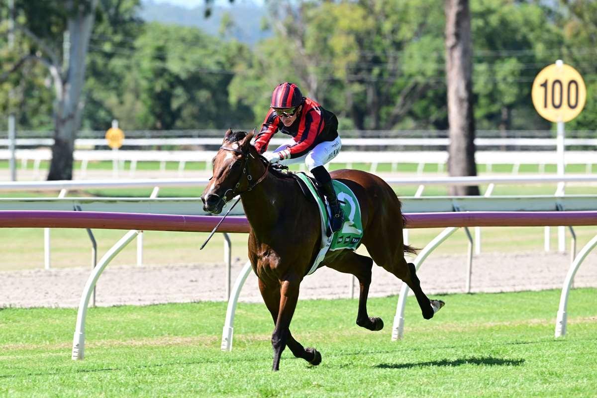 BEAUDESERT BLITZ BY MAJESTIC LOUVRE