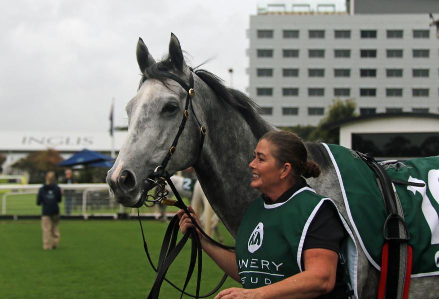 Picture of the author