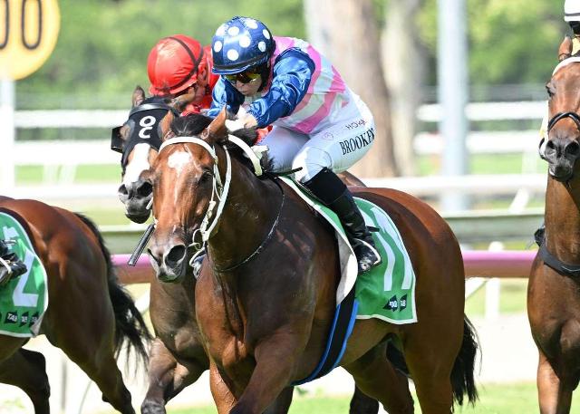 Blakemore Avenue too good at Beaudesert