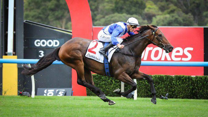 Alligator Blood - All Star Mile