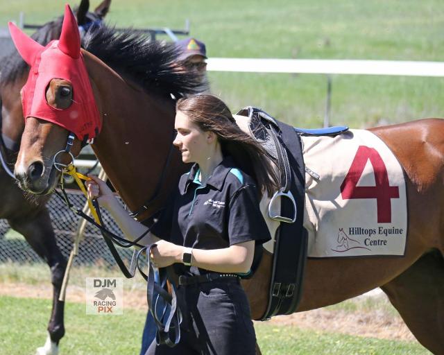 Suncone delivers MTR well-deserved win