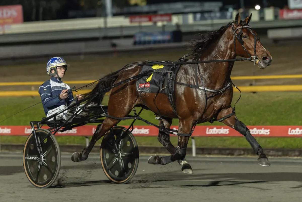Group One glory