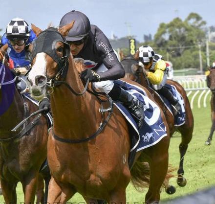 The G1 Australian Oaks awaits Gin Martini