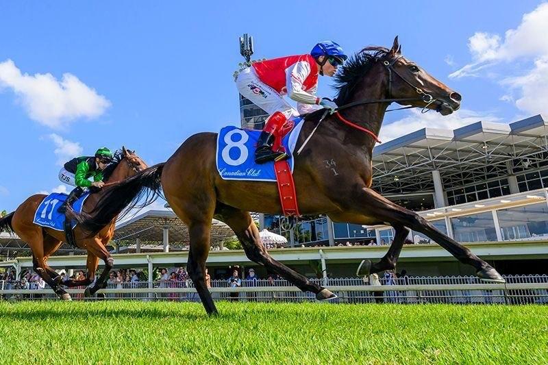 Hell to Pay Shines in $250,000 Magic Millions Maiden Victory