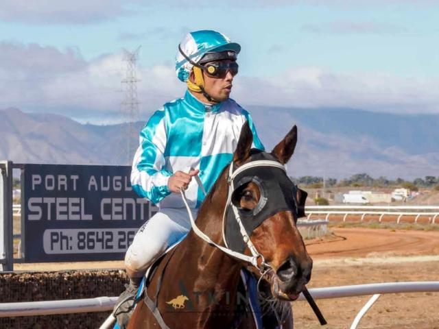 Pirate Crowned Port Augusta Horse Of The Year For 2025