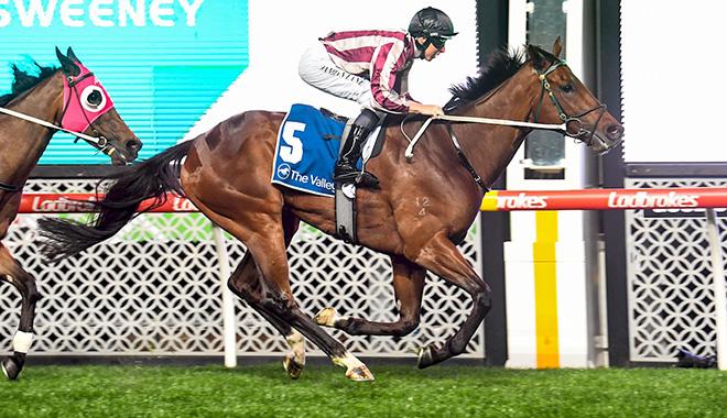 Jones not daunted by Dubai stars