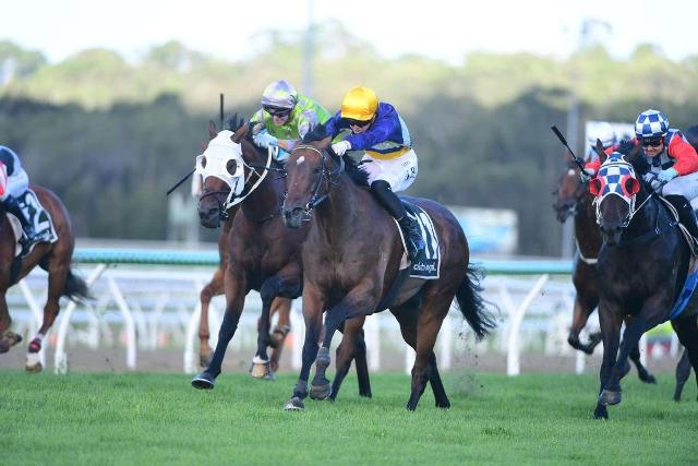 Pireonti wins - another gutsy effort!