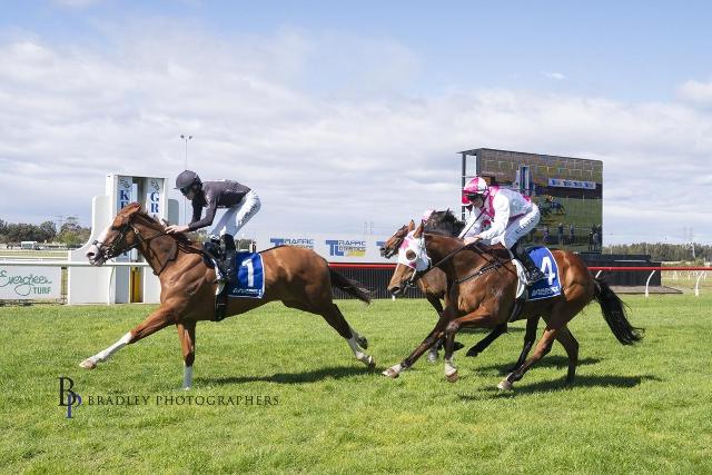ONES TO WATCH - KEMBLA - 3YO's TO FOLLOW