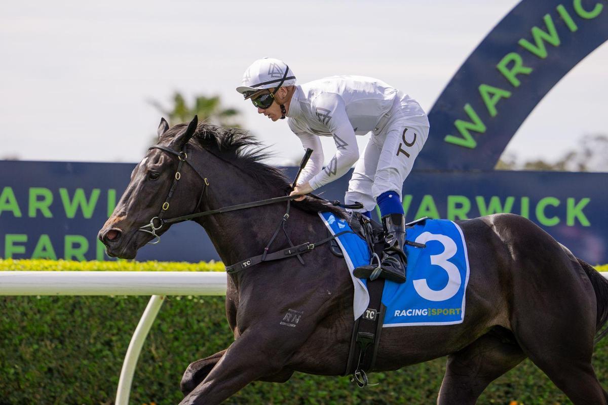 Miss Freelove - One to Watch