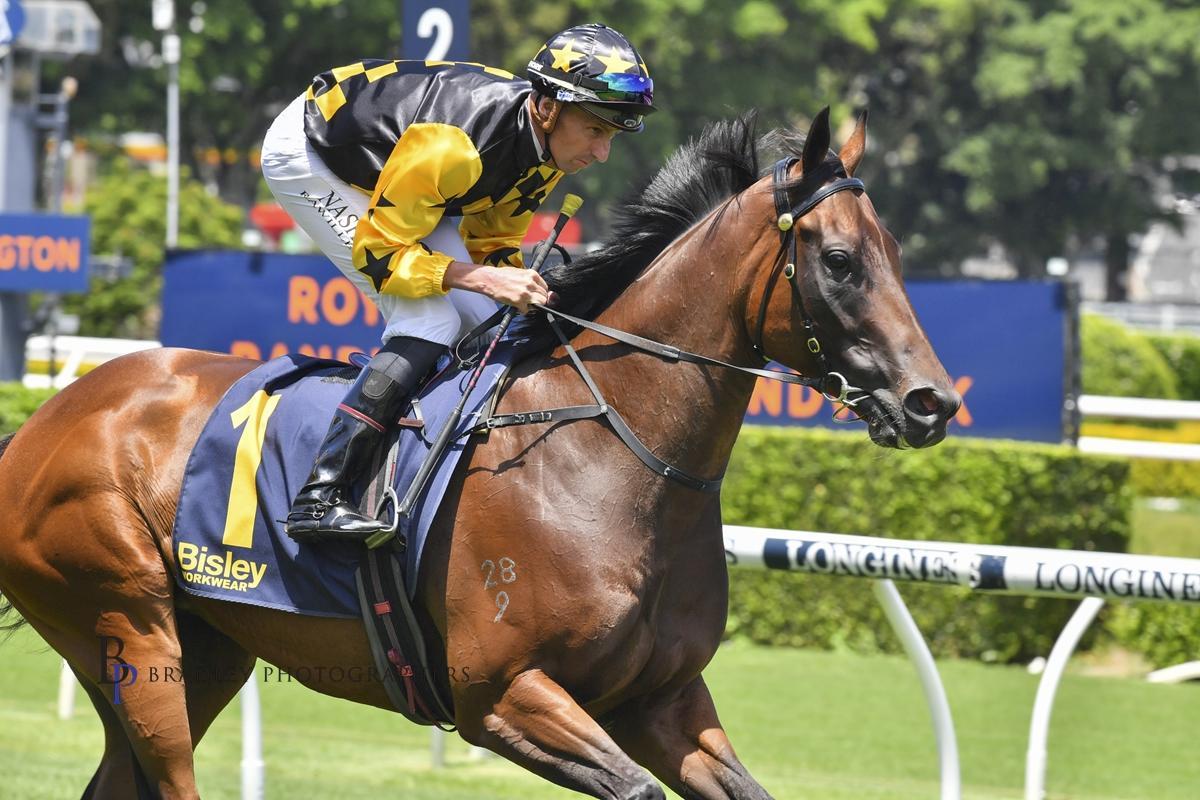 Picture of the author