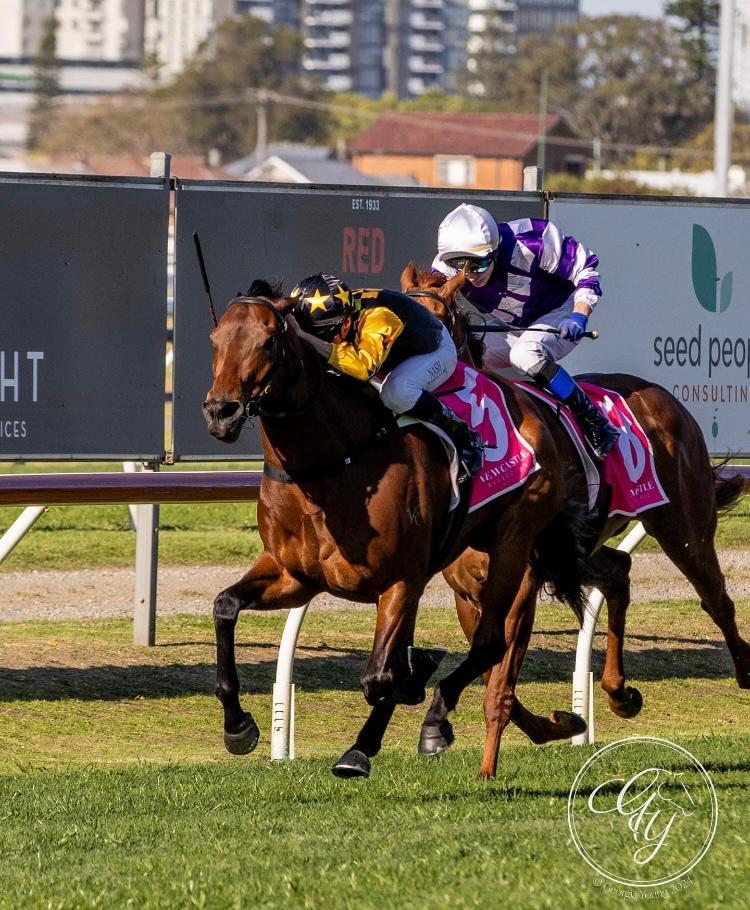 Picture of the author