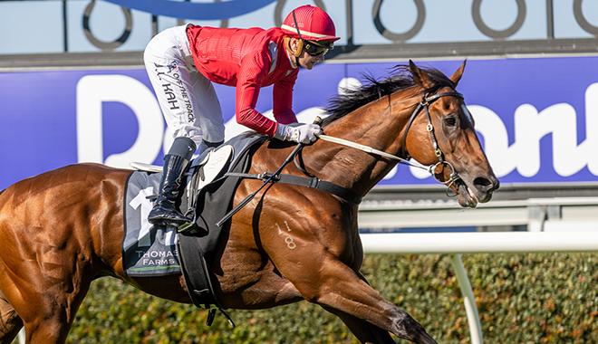 Clarken tempers Lucky expectations