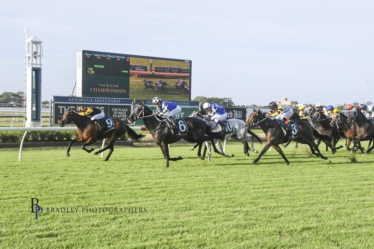 Picture of the author