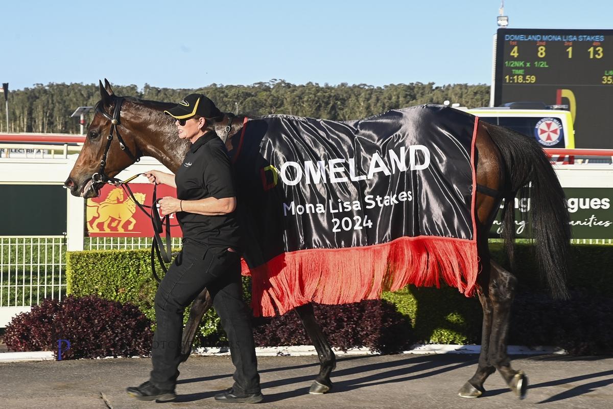 Picture of the author