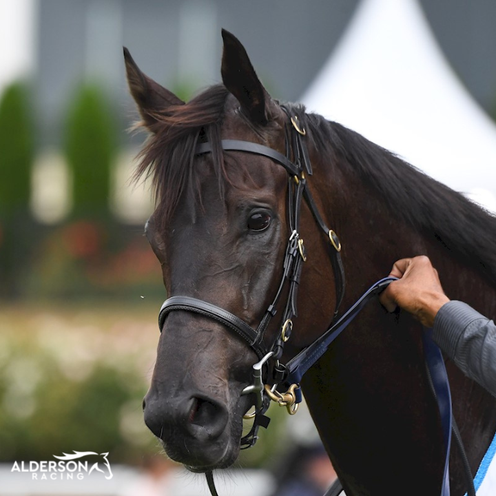 Jigsaw Wins Group 2 Australia Stakes