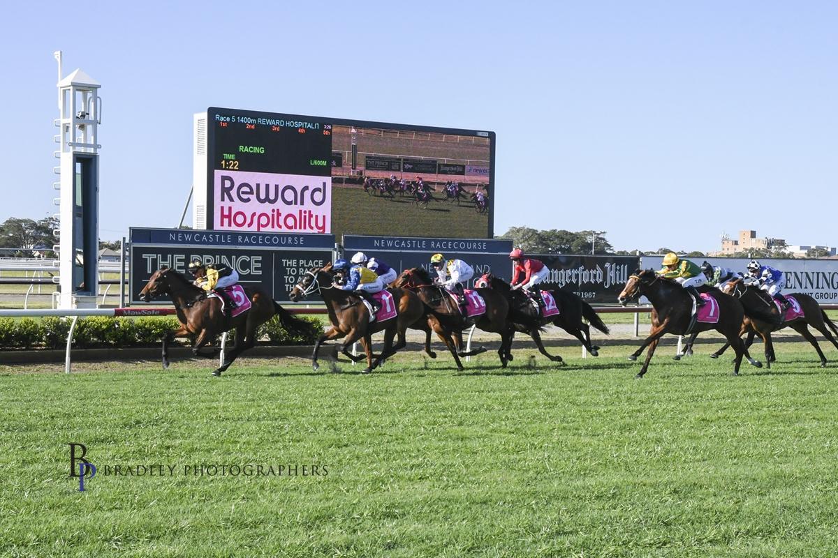 Picture of the author